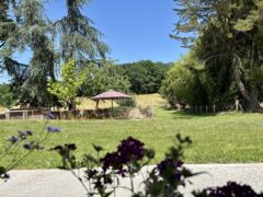 Achtertuin vanaf veranda
