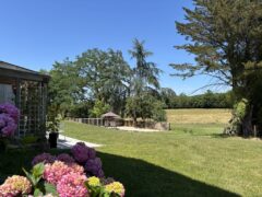 Achtertuin