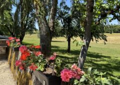 Tuin plantenbakken